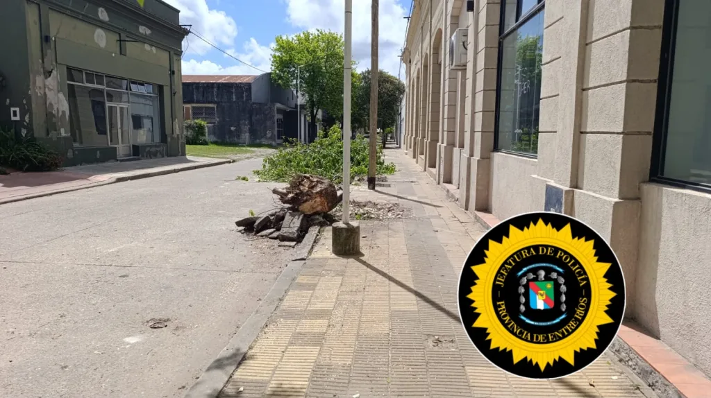 R. del Tala: Una mujer sufrió una fractura de fémur tras caerle una rama mientras caminaba por la calle