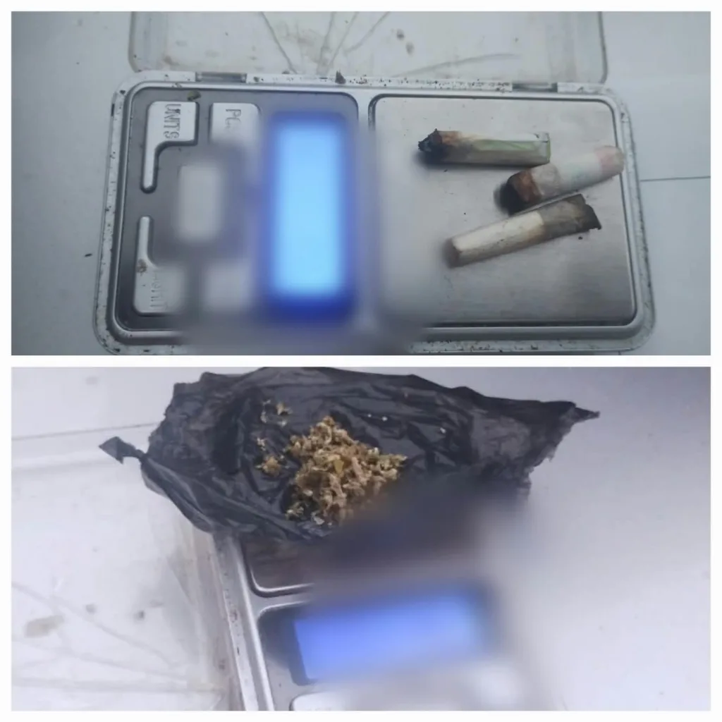 Secuestraron marihuana durante un control vehicular en la Autovía 18