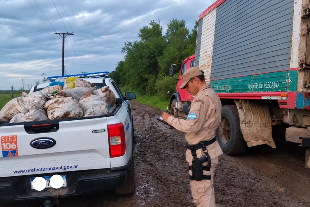 Gualeguaychú: secuestraron 710 kilos de pescado transportados sin documentación ni refrigeración