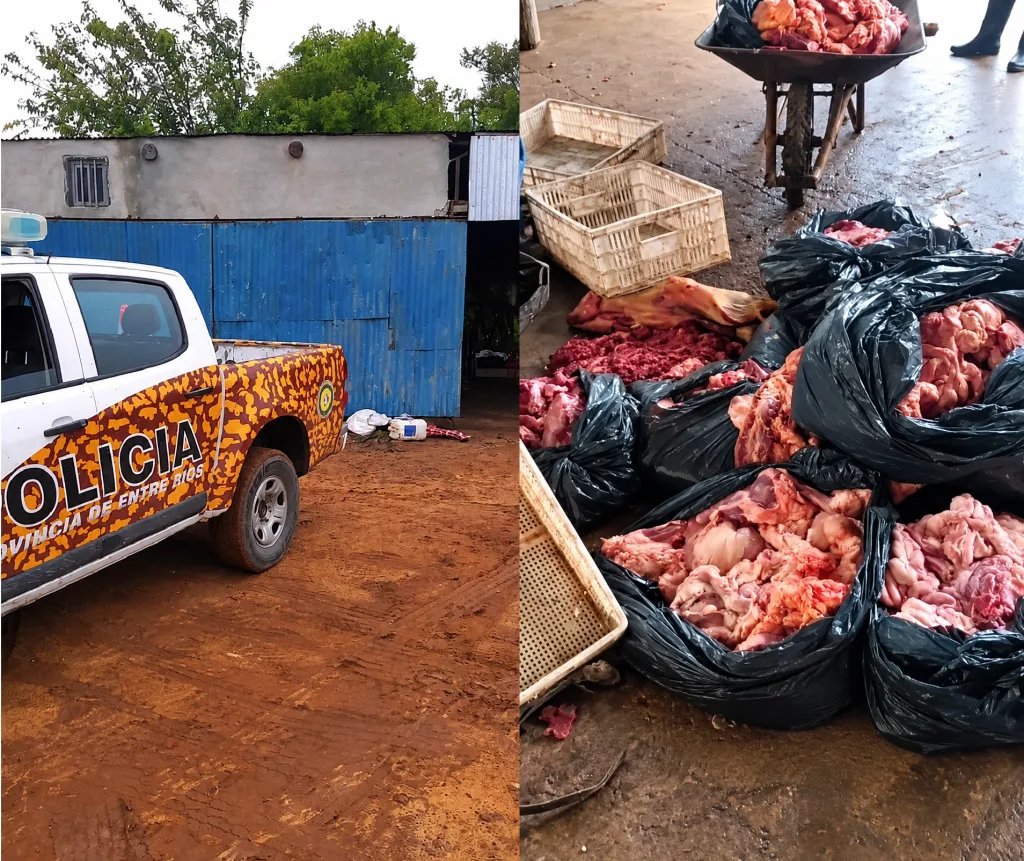 Allanaron un frigorífico clandestino en Colonia El Ramblón y decomisaron 270 kilos de carne