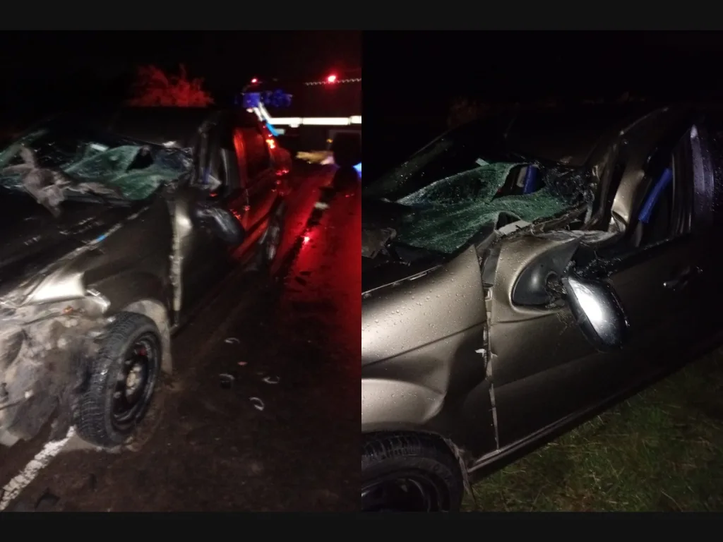 Accidente en ruta 39: chocaron un camión y un automóvil