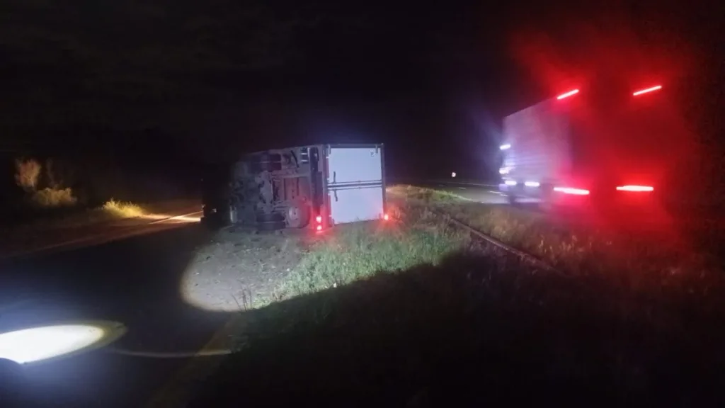 Volcó un camión que transportaba plantas en la Autovía 12